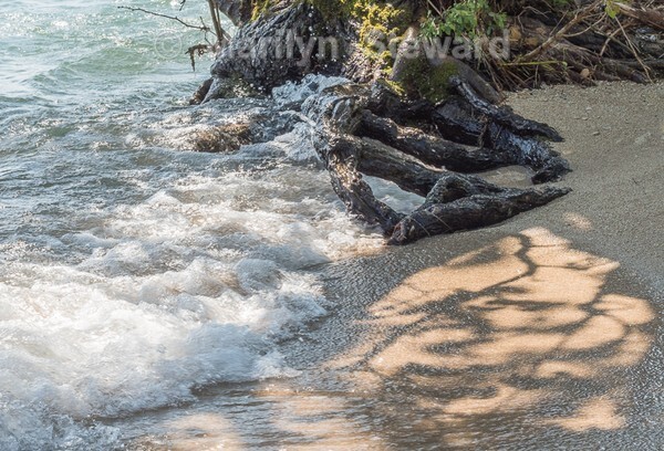 Lake Garda -46 - Lake Garda, Verona and Venice