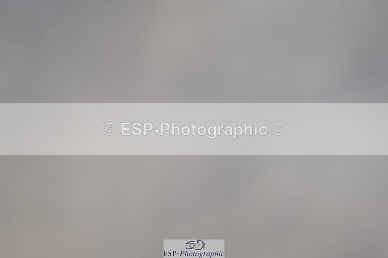 250125-120200-00386 - Dressage - CT Class 5 BE95 (90cm)