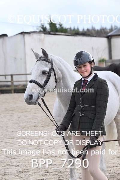 BPP_7290 - RING 1  (RIDDEN HORSES / IN HAND / VETERAN ETC)