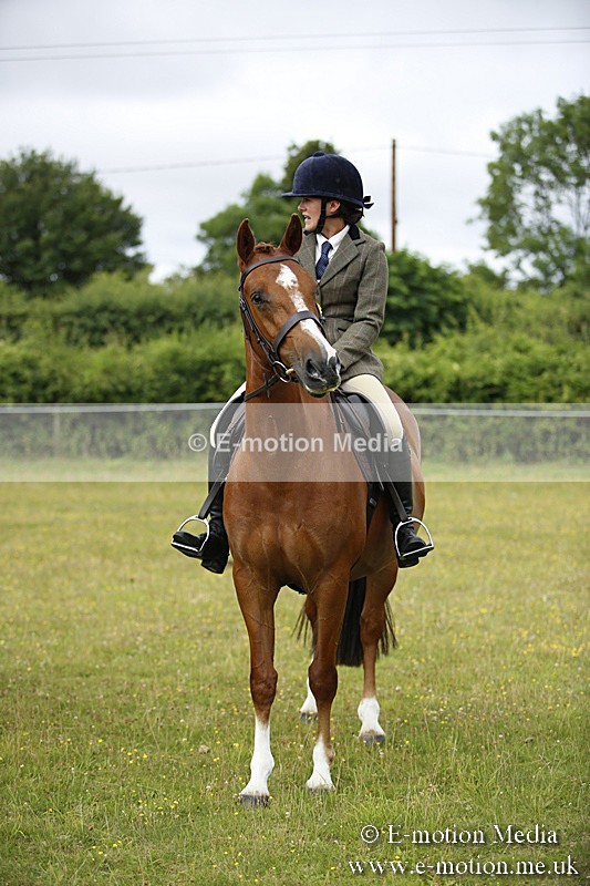 BVR160717-319 - Ring 1 BVRC Show 16/07/17