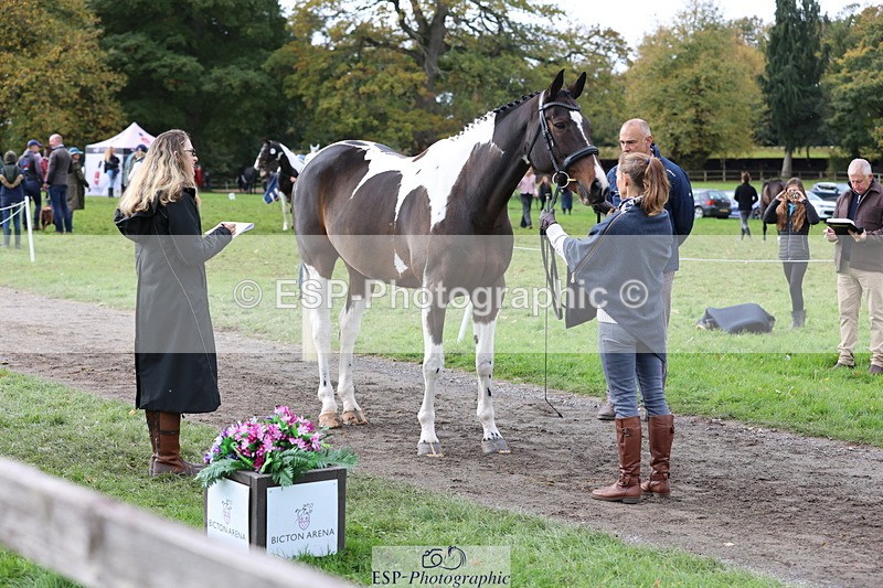 251026A-121242-25956 - F-419-Helen.du.Heaume