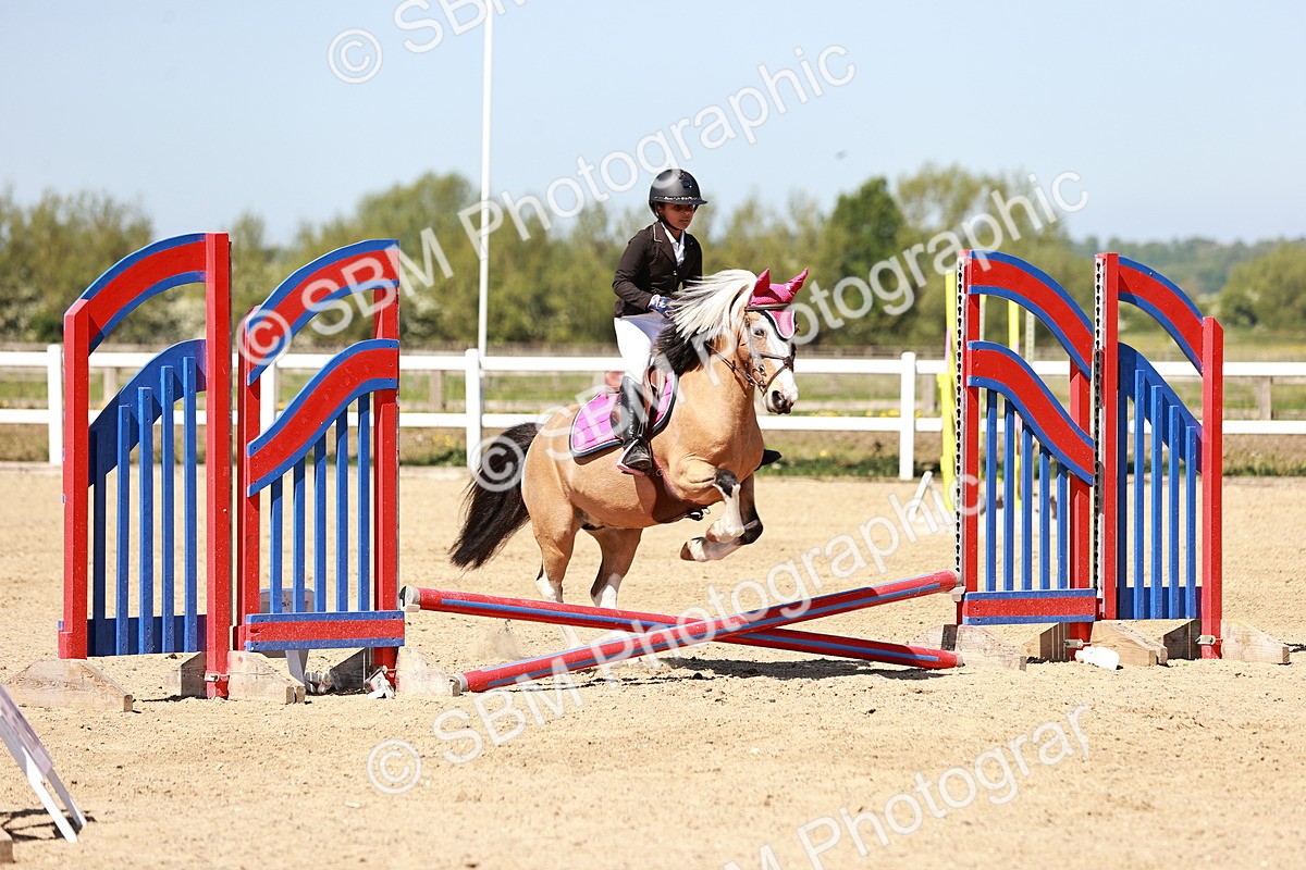 SBM_006993 - Class 2 - 50cm