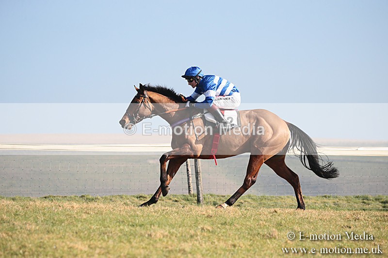 PtP 230219 120 - Vine & Craven Point-To-Point - Barbury 23/02/19