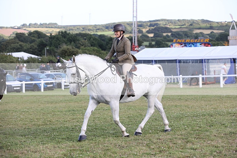 JPP_3554 - Class 22: Working Hunter 90cm