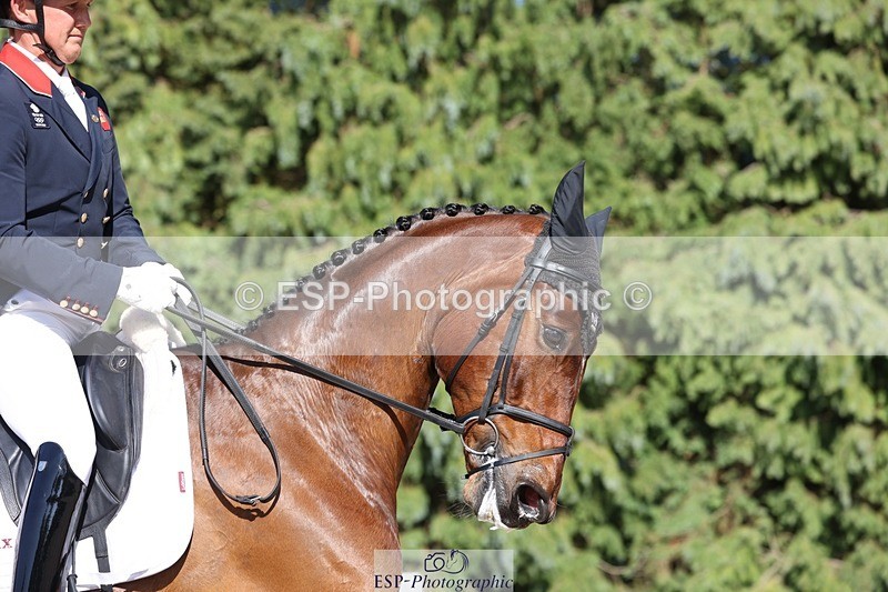 230526-170924-07915 - 175-MONBEG_EQUITY-Tom_McEwen-WEDTrotUp+DR