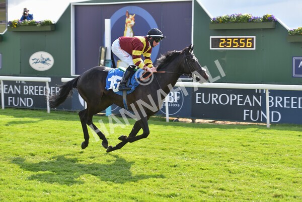 yr12052021r7-32 - Race 7 4.50 pm Conundrum HR Consulting Stakes