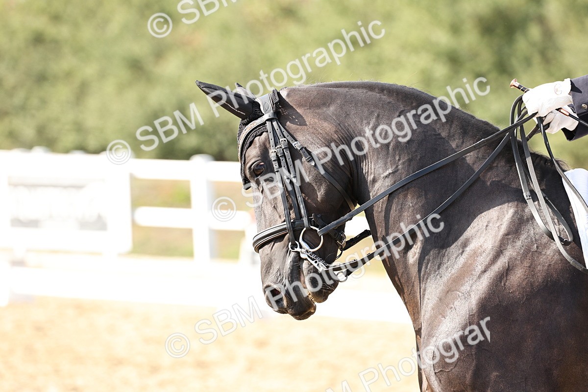 SBM_015393 - Class 9 - Advanced medium 3