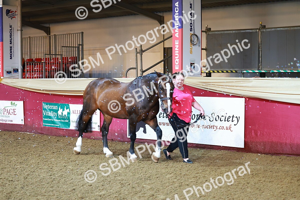 SBM_14659 - Class C - Novelty champ