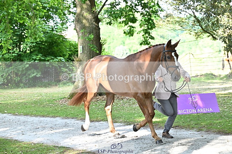 250521A-164153-01286 - C-254-Alexander.Bragg-SHANNONDALE.ARVA