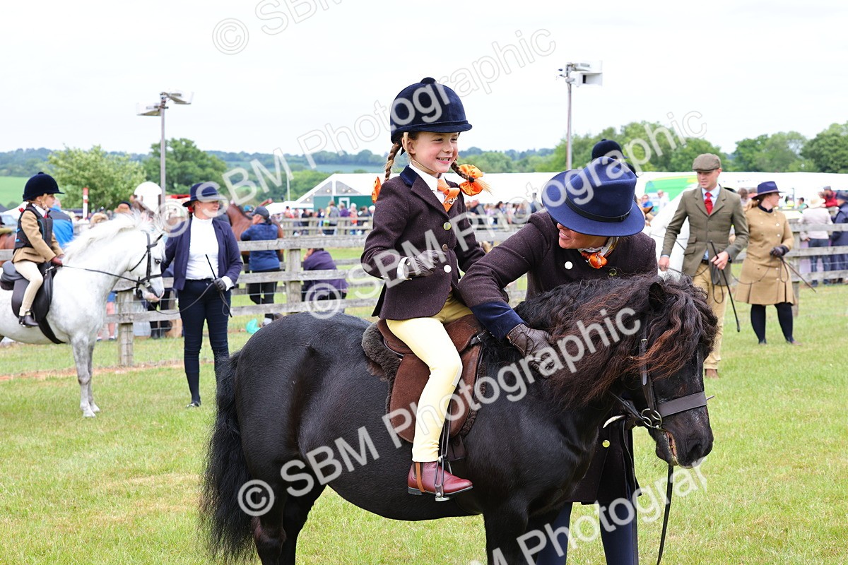 SBM_08345 - Class 42-43 - LIHS BSPS Heritage Working Sports Pony