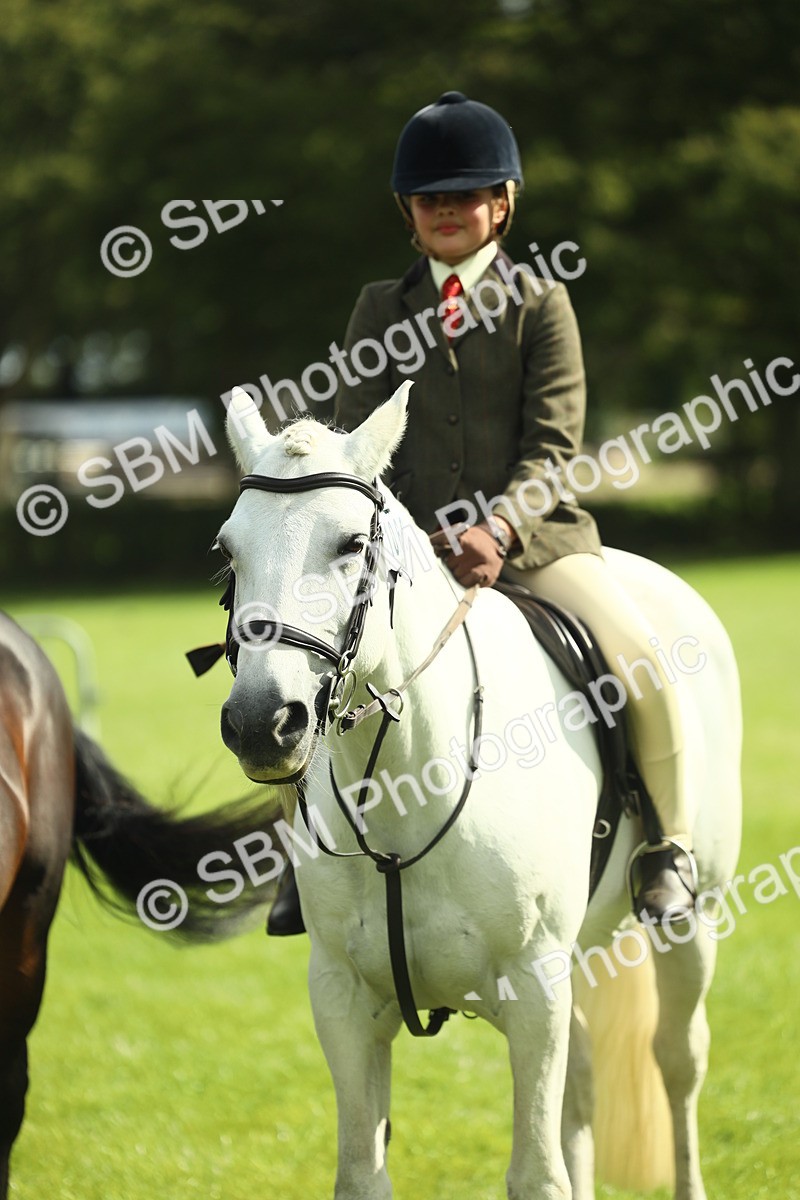 SBM_42150 - S29 - Novice & Newcomers Working Hunter Pony