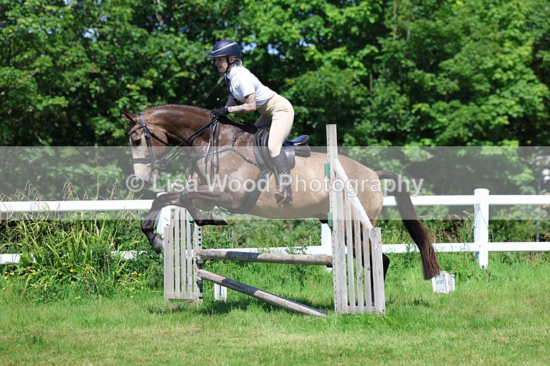 3E7A6923 - Class 30: Novice Working Hunter