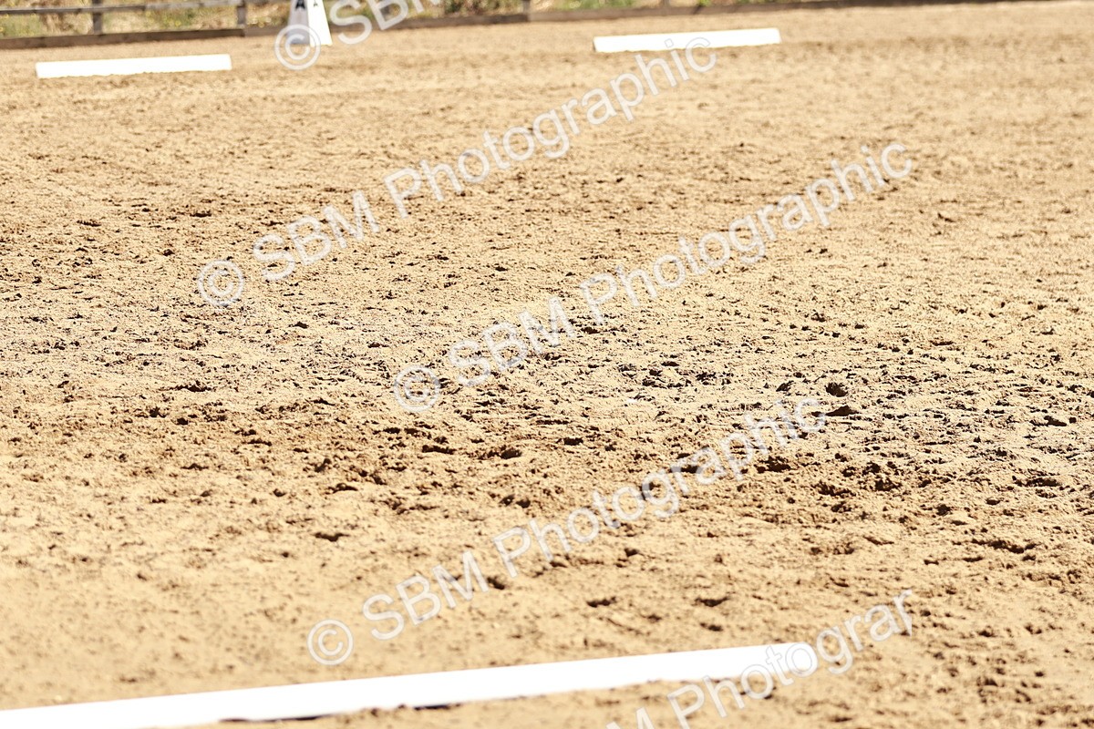 SBM_000833 - Class 12 - DR P1