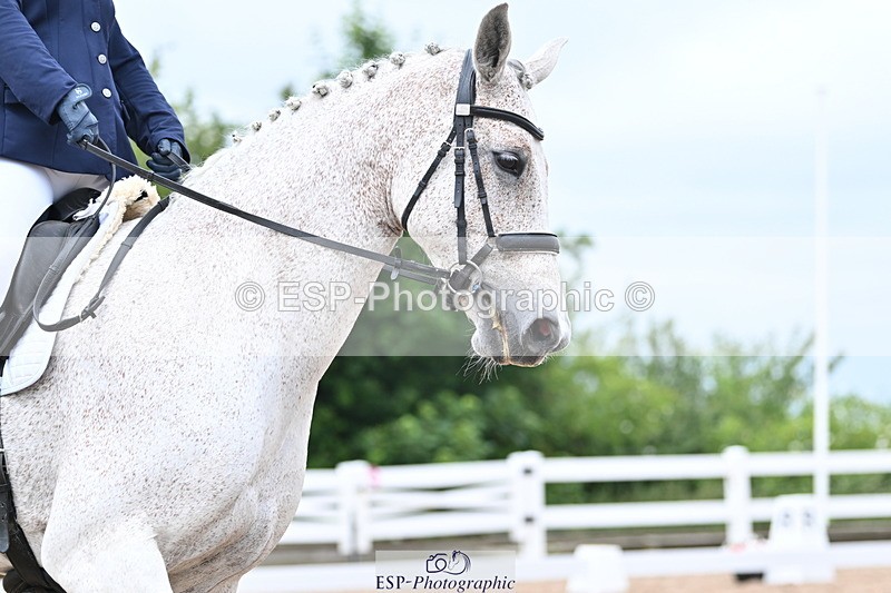 240623A-132040-18322 - Cls 51 BD Elementary 53