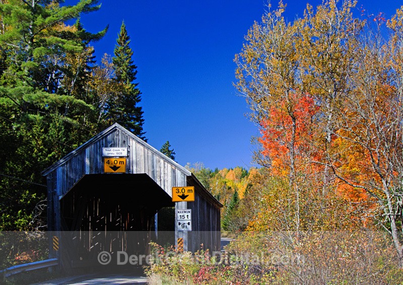 Autumn Foliage New Brunswick Covered Bridges - Autumn Foliage