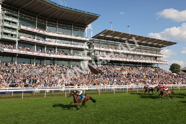 yr20082022r7-25 - Race 7 5.20pm Sky Bet Finale Stakes