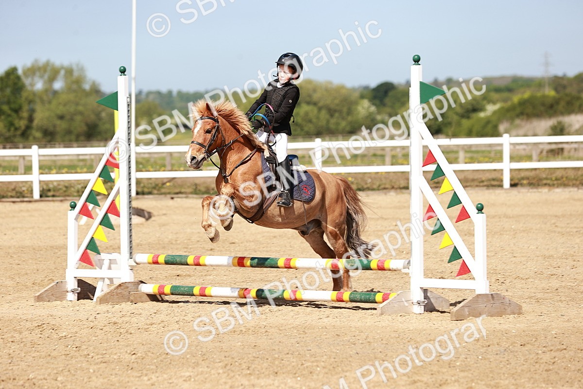 SBM_006898 - Class 2 - 50cm