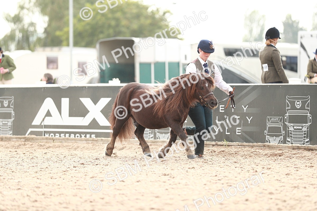 SBM_12431 - Class 207 IH M&M