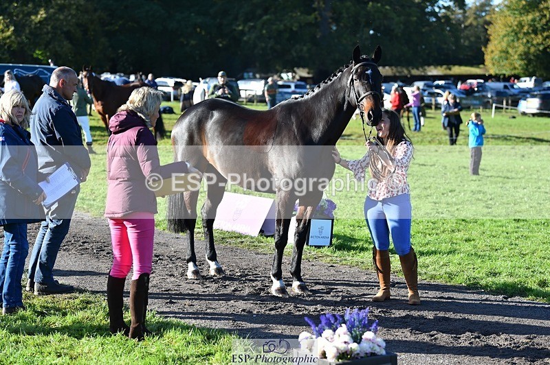 231022-101812-22394 - 430-HUNTSMAN.COM-Rachael.Watson-TrotUp+SJ