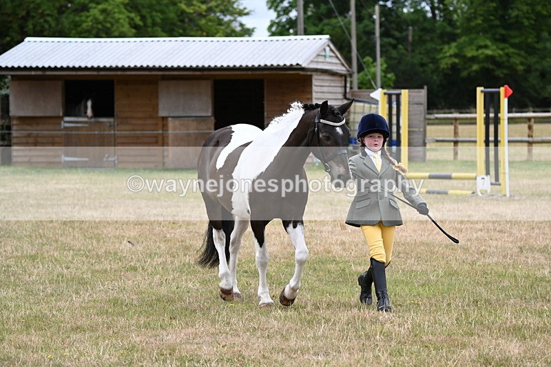 WJ6_4343 - Class 10 Coloured In-hand