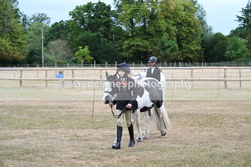 WJ7_8016 - Class 4 Prettiest Mare up to 14.2hh