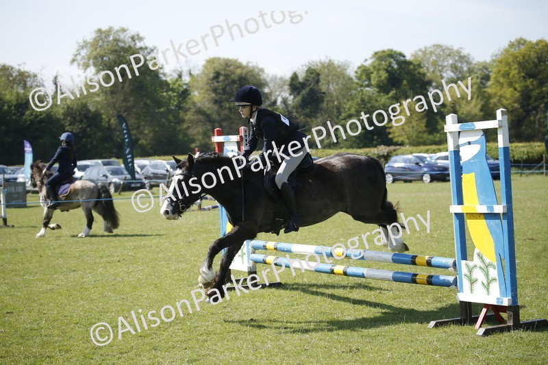 20250427-2044 - Class 13 - Novice Jumping 60cm