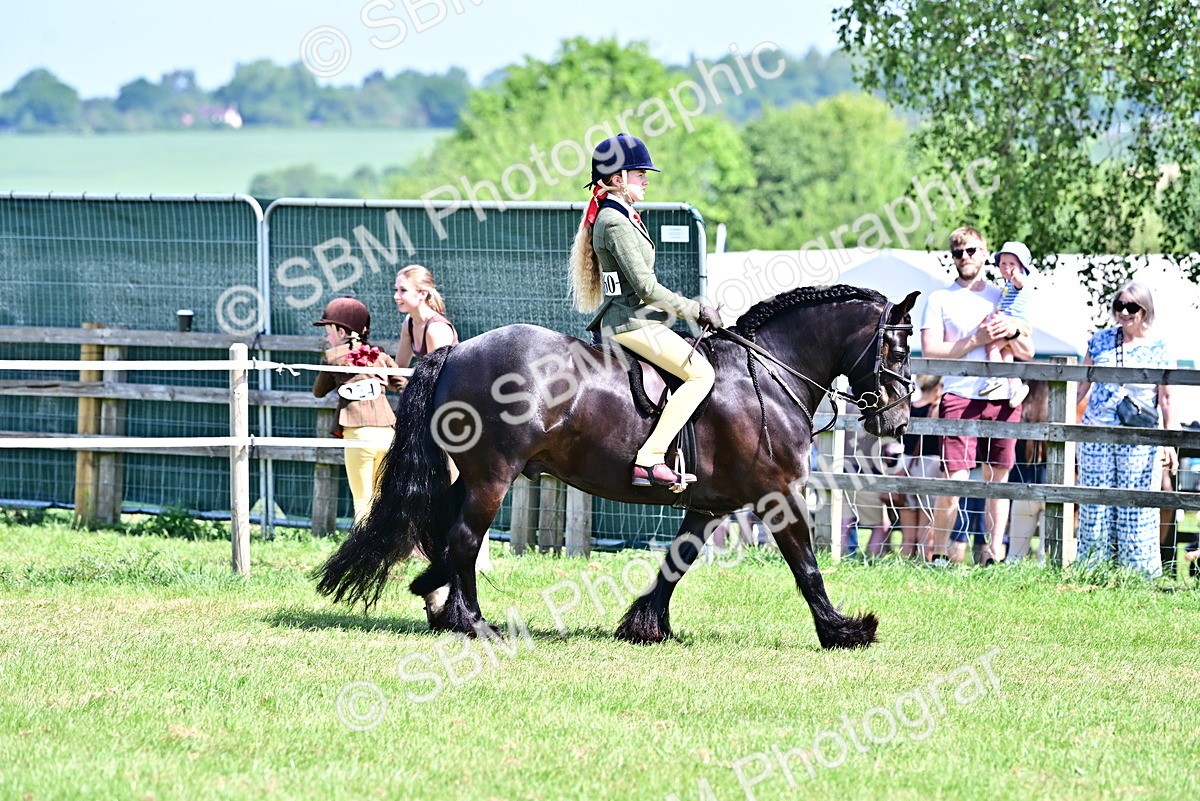 SBM_13866 - Class 95-97 - BSPS LHS Performance Ponies