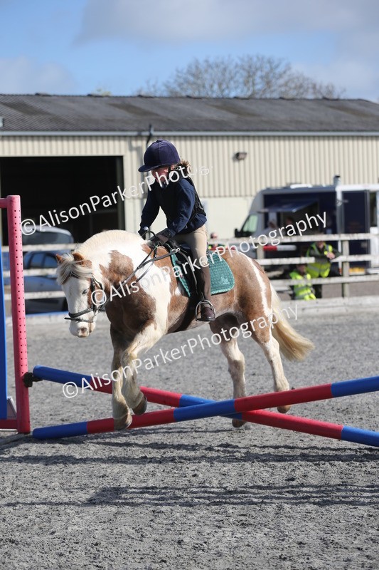 20260412-0062 - Show Jumping