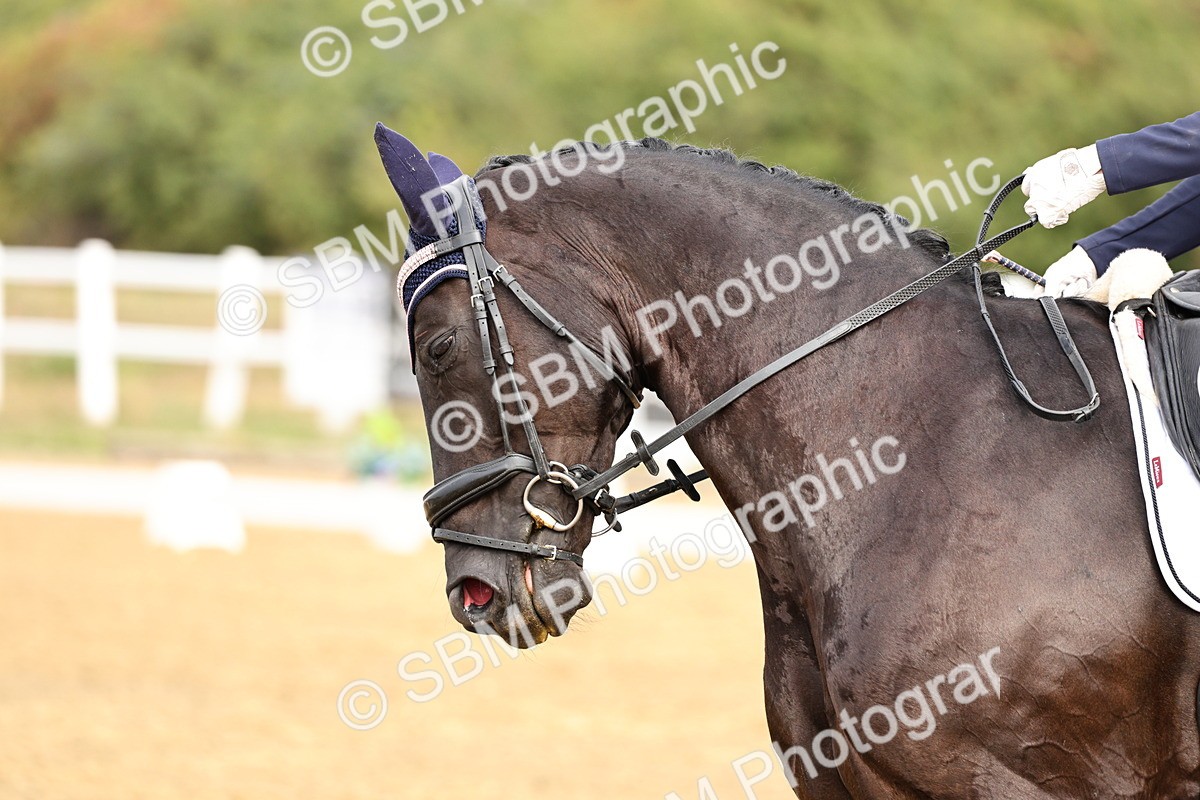 SBM_012179 - Class 2 - Prelim 5