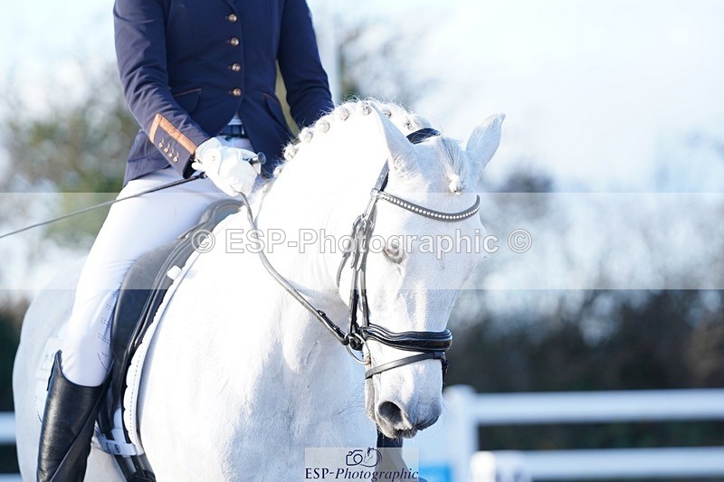 241214-145352-02053 - 111-Anya.Hitt-Cnoc.an.Noinin.Clover