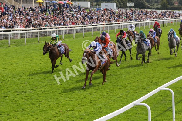 250823-Race 1-Marhaba The Champ-5754 - Race 1 1.50pm Sky Bet Handicap