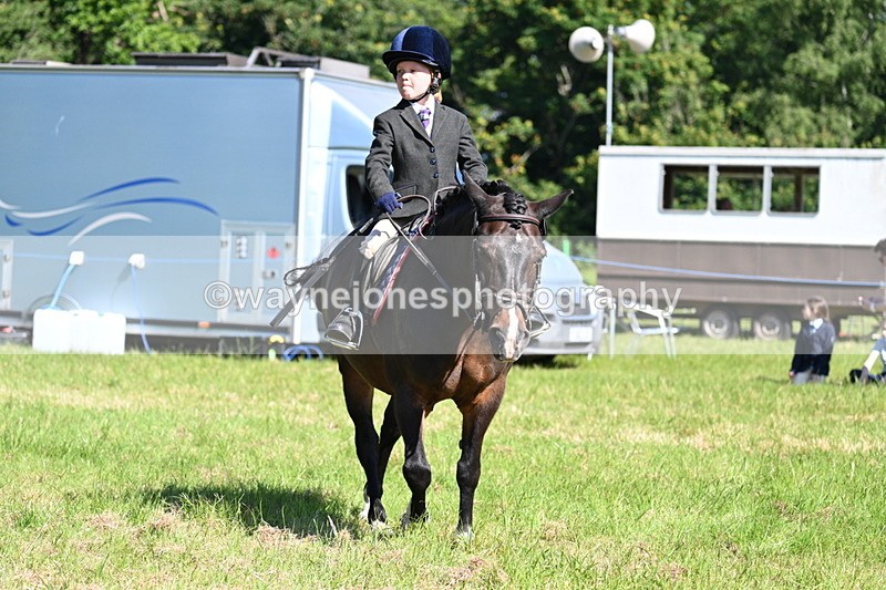 WJ7_0588 - Class 8 First Rally Pony