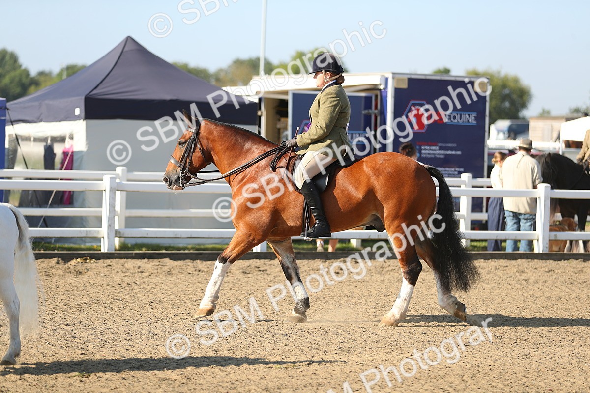 SBM_00507 - Class 41 Best Turned Out Ridden