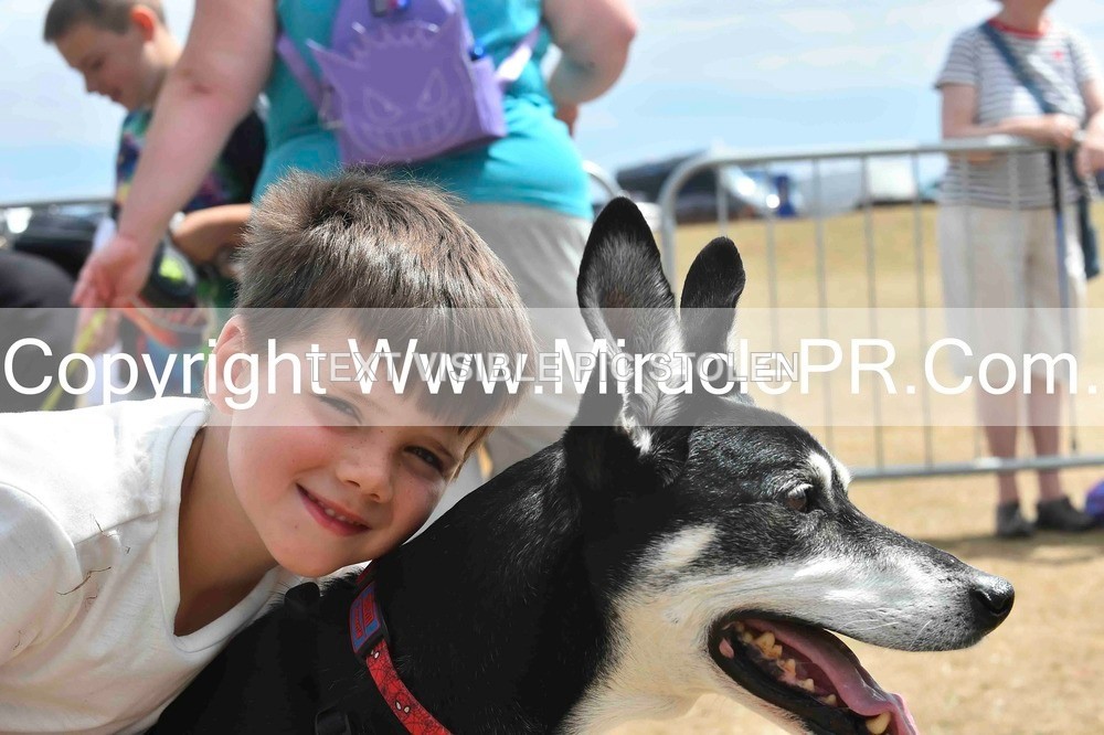 SH4_0119 - Dog show.