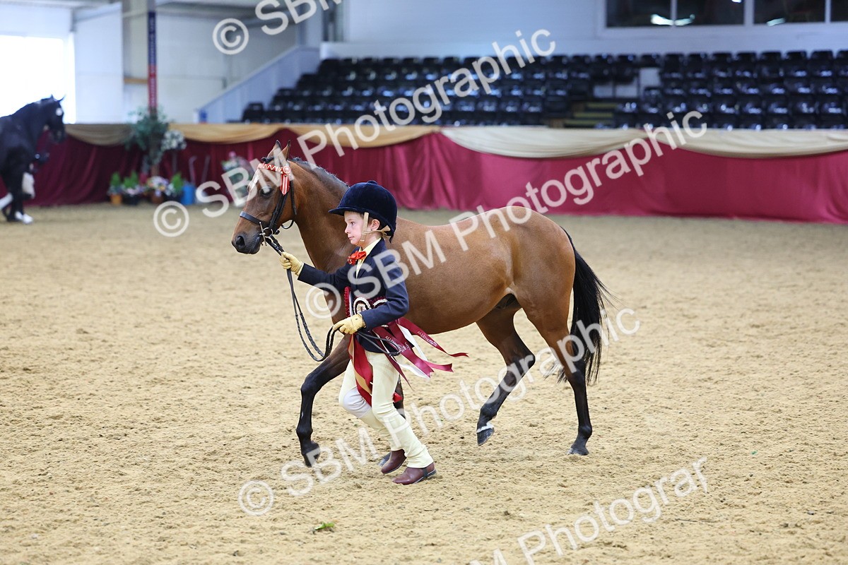 SBM_23048 - Class 903 - Supreme Final - IH Pre Vet