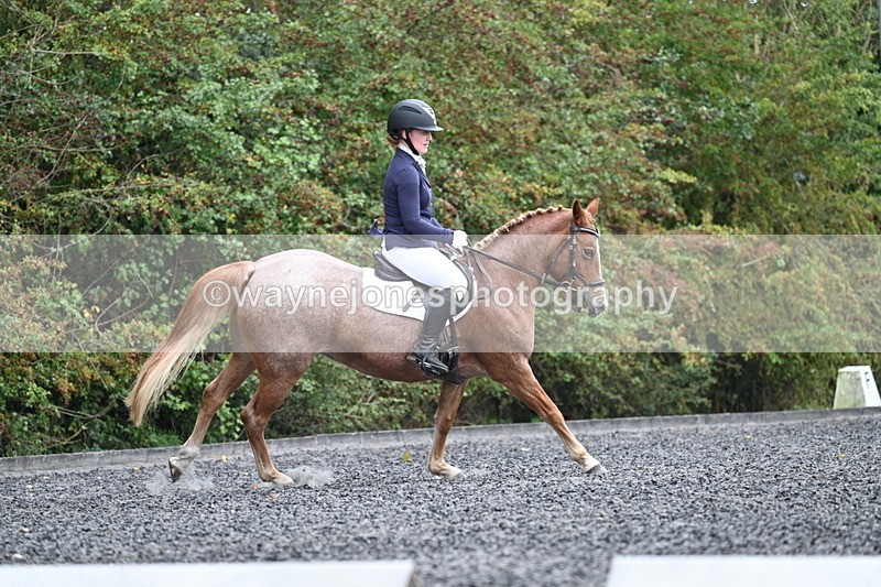 WJ7_3746 - Time 11:04 to 11:38