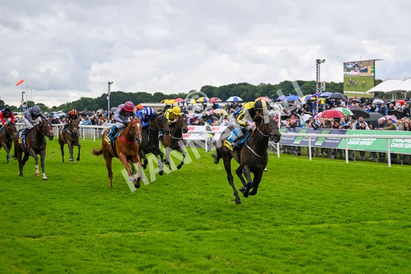 150624-Race 4-Jamess Delight-7381 - Race 4 3.35pm Churchill Tyres Supporting Macmillan Sprint Handicap