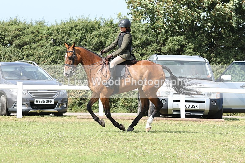 JPP_2369 - Class 19: Working Hunter 60cm