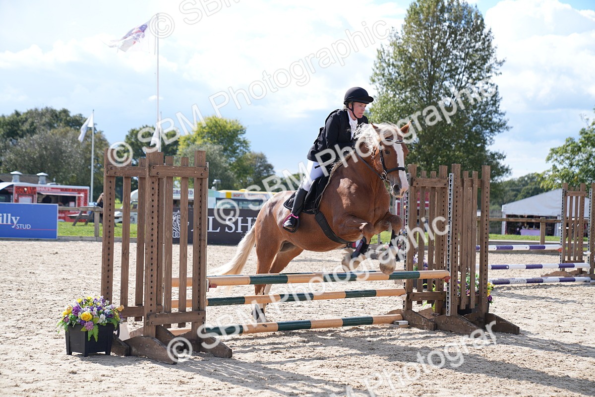 SBM_08550 - J56 Clear Round 70cm