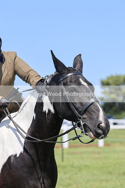 IMG_2553 - Class 38: Veteran Ridden