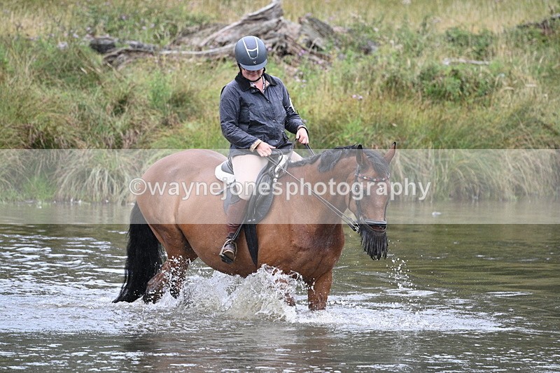 WJ7_7711 - Time at Water 10:28 to 11:05