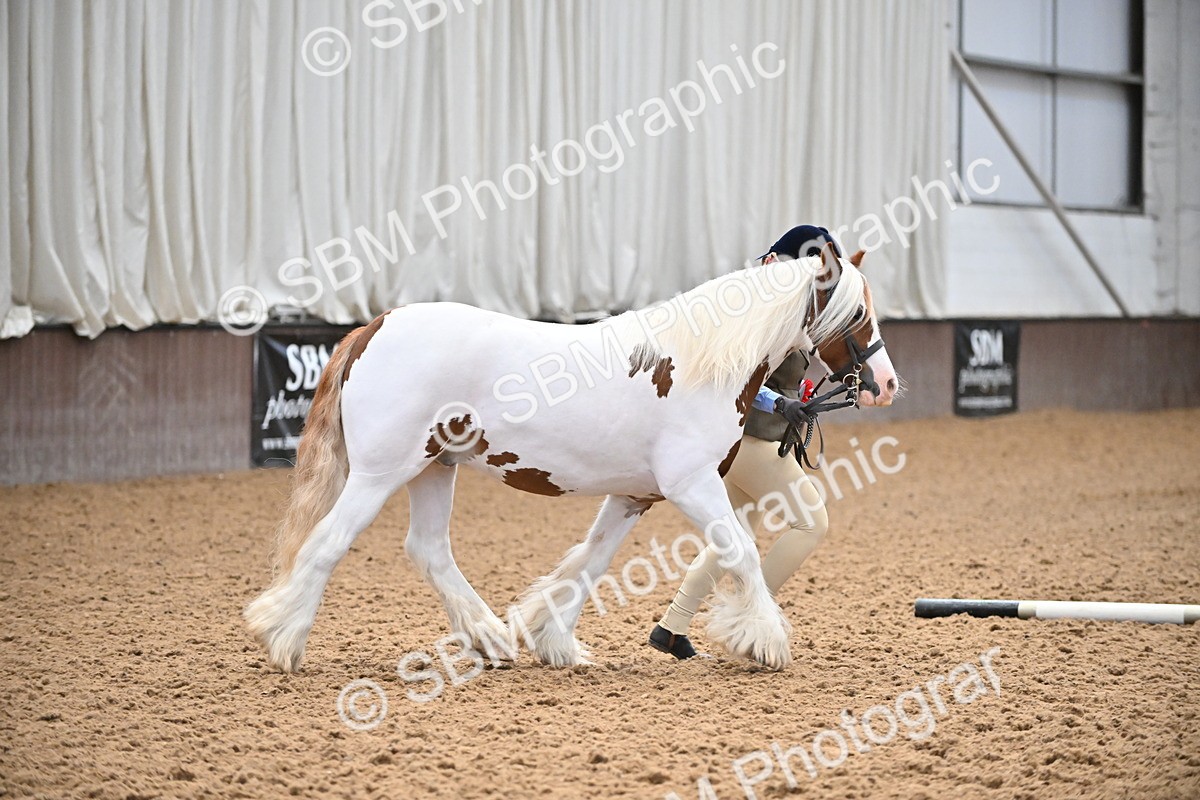 SBM_000297 - Class 10 - In Hand Coloured & Odd Coloured