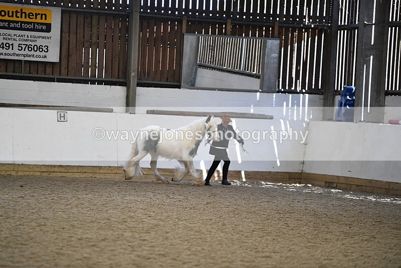 WJ5_5273 - Class 8 In hand cob