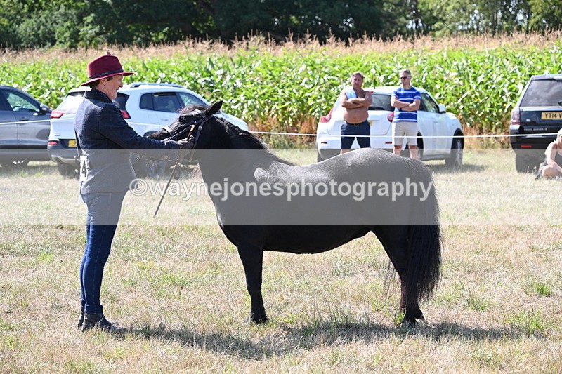 WJ6_4940 - Class 17 Mountain & Moorland