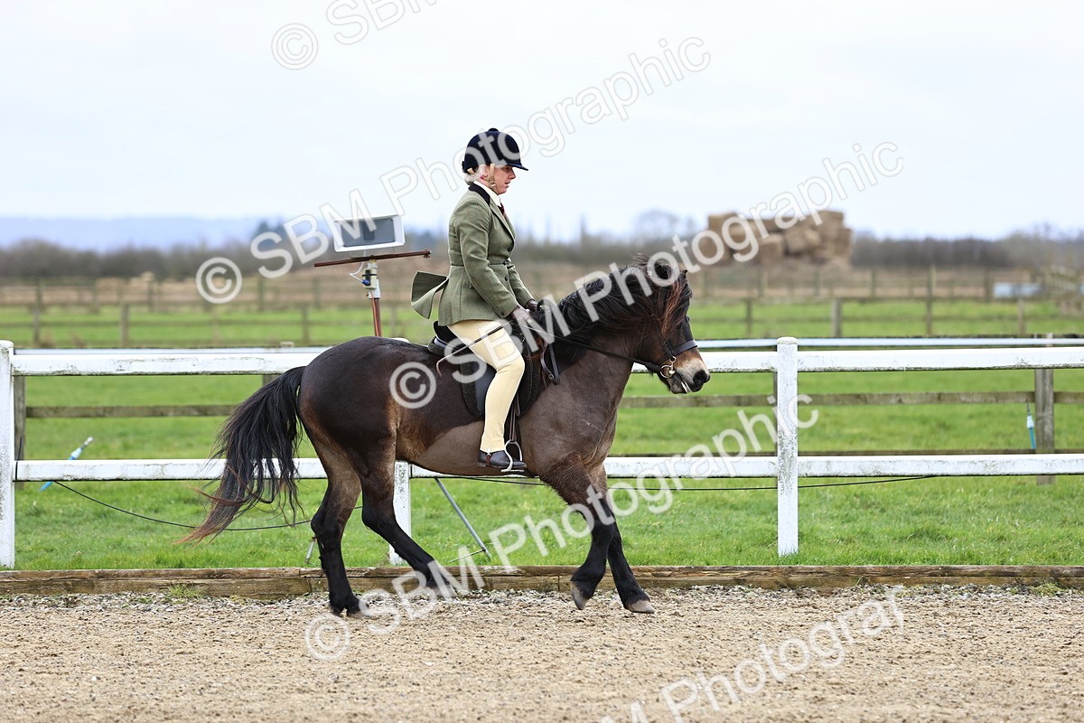 SBM_006761 - Class 29 - 30 - M&M Pure Novice Small-Large Breeds
