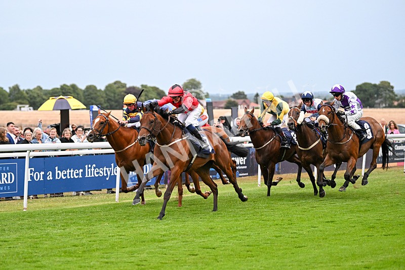 040725-Race 6-Sunny Orange-6099 - Race 6