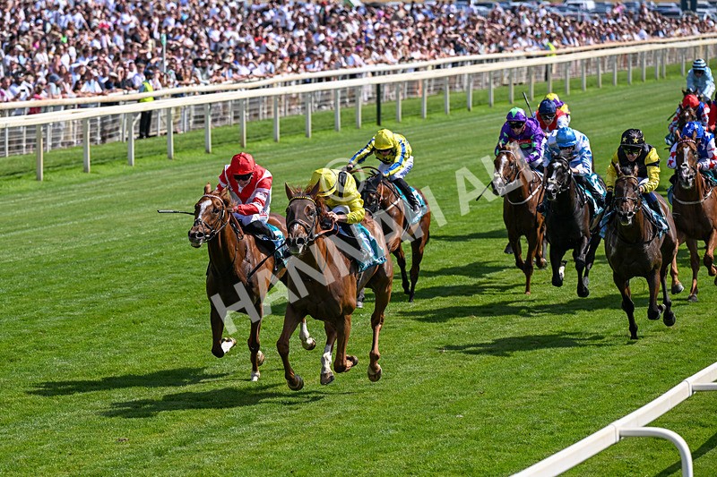 110726-Race 4-Raammee-0252 - Race 4 15.45pm John Smith's Cup
