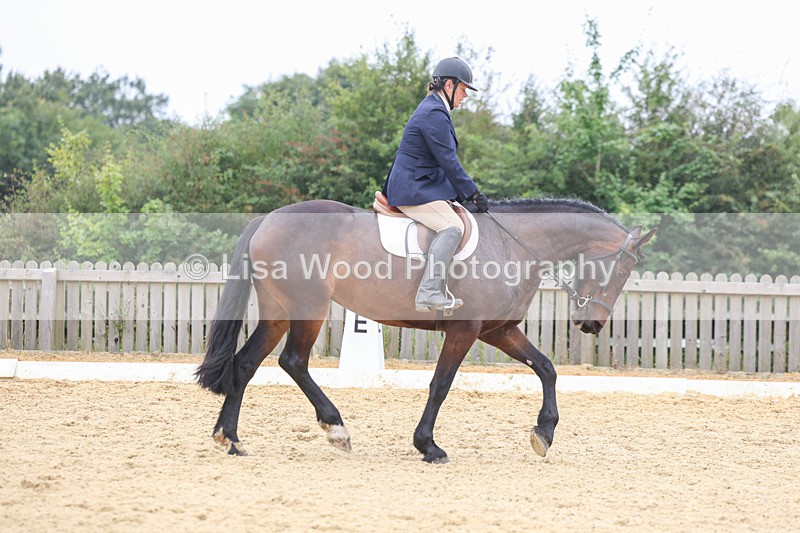 3E7A5521 - Class 2: Intro 4 2024 section B