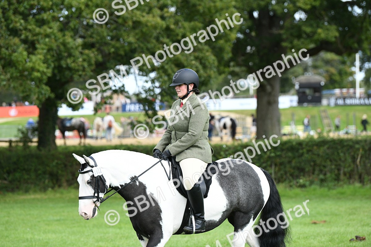 SBM_46777 - S12 - Family Horse & Pony