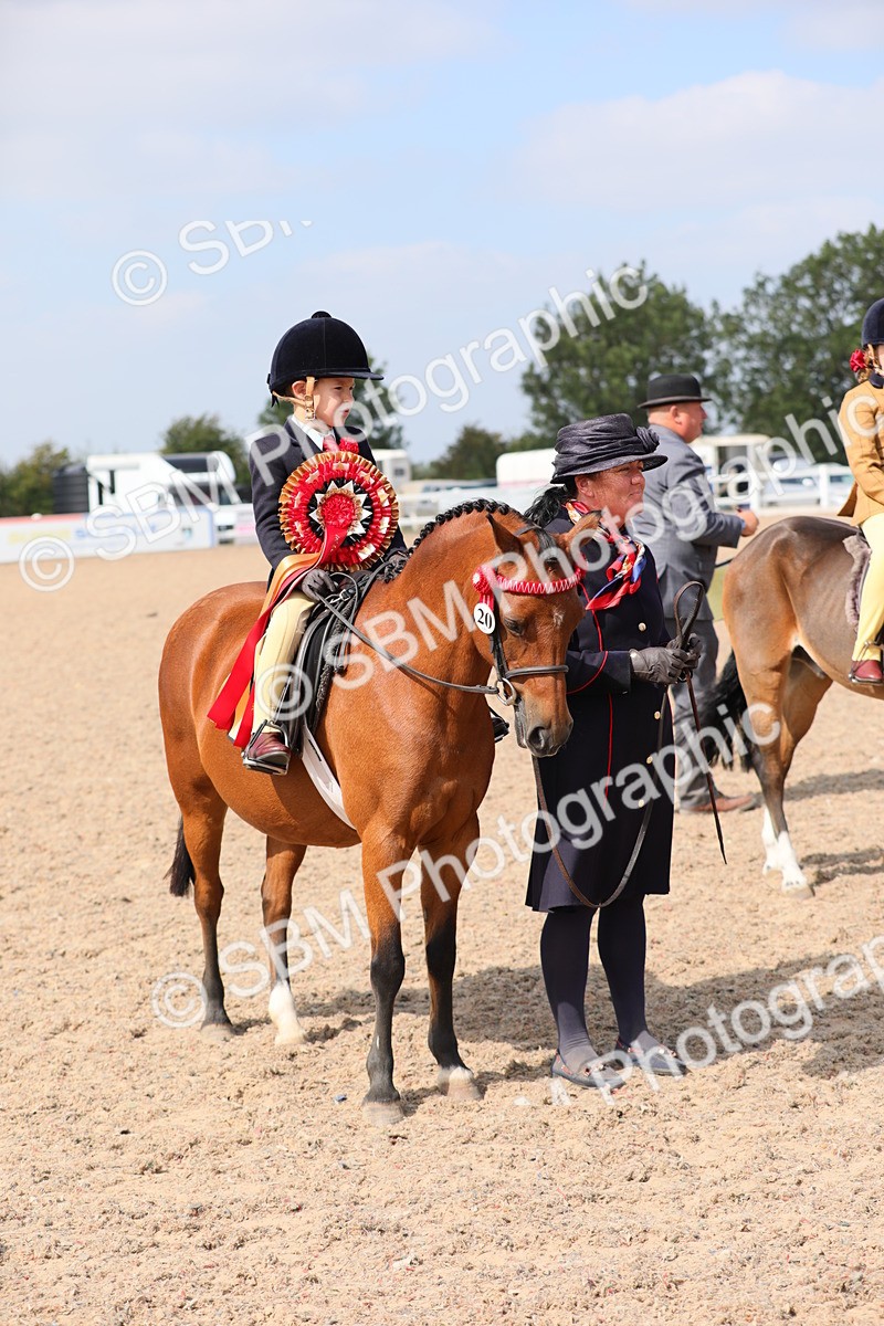 SBM_14085 - Class 309 Lead Rein Pony